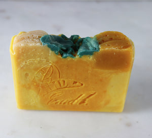 Pumpkin Citrus Spice Soap